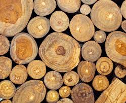 Teak wood